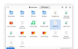 Déjà Dup screenshot 1