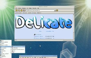 DeLicate Linux screenshot 2