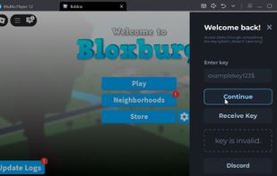 enter the key to start using delta executor