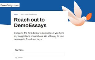 DemoEssays screenshot 1