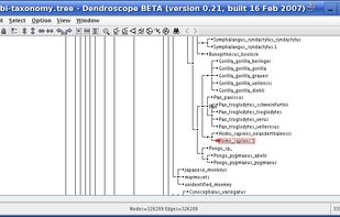 Dendroscope screenshot 1