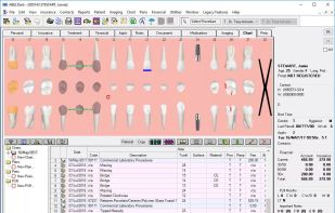 Clinical Charting