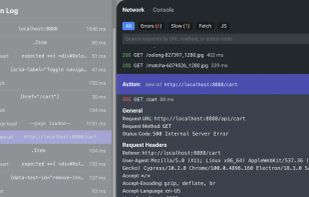 Debug Network Payloads