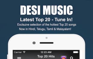 Desi Music screenshot 2