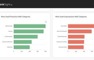 DeskSight.AI will provide the visibility of Productive and Unproductive Web Usage being used in the organization.