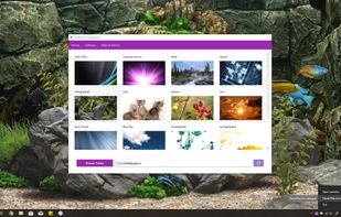 Desktop Live Wallpapers screenshot 3