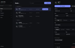 Hosts grouped by environment, with the selected host's details and one-click connect