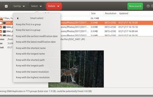 Similar images result pane - Ubuntu 18.04