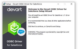 Devart ODBC Driver for Salesforce screenshot 1