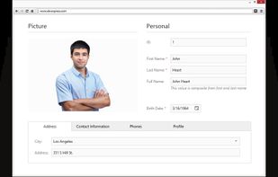 DevExtreme screenshot 3