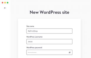 DevKinsta screenshot 1