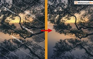 Dewatermark AI screenshot 1