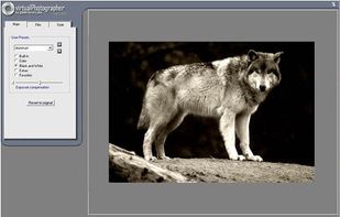 Virtual Photographer screenshot 1