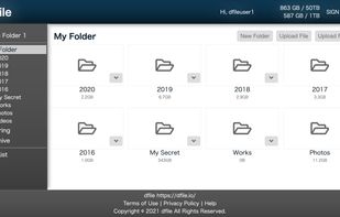 dfile.io screenshot 1