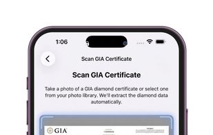 Diamond Check AI screenshot 3