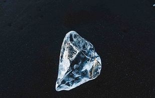 Diatech AI screenshot 1