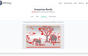 Image Compare Result