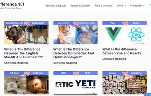 Difference 101 screenshot 1