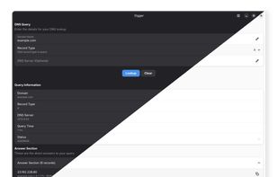Digger DNS Lookup screenshot 1