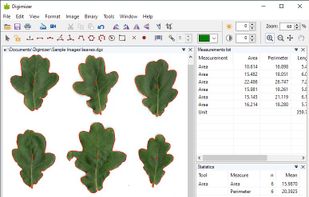 Digimizer screenshot 1