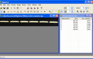 Digimizer screenshot 1