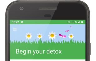 Digital Detox screenshot 3