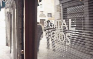 Digital Geckos screenshot 1