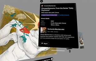 XR viewer