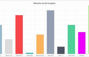 DigitalBull Go - Free Local SEO Audit Tool screenshot 1