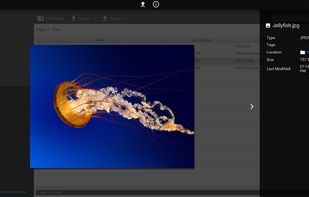 DigiVault screenshot 2