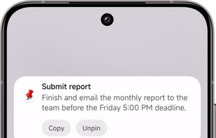 Dingpin screenshot 2