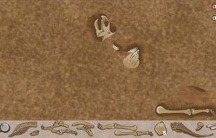 Dinosaur Discovery screenshot 1