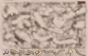 Dinosaur Excavation: T-Rex screenshot 1