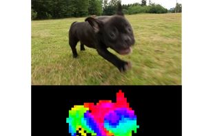 DINOv2 models demonstrate strong out-of-distribution performance and the produced features are usable without requiring any fine-tuning.