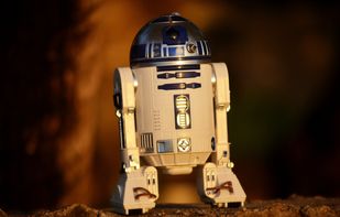 Diploma Assignments screenshot 1