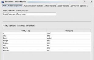 DirBuster screenshot 1