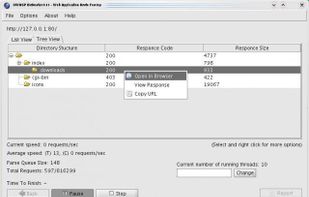 DirBuster screenshot 1