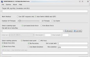 DirBuster screenshot 2
