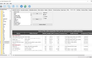 Directory Lister Pro screenshot 1