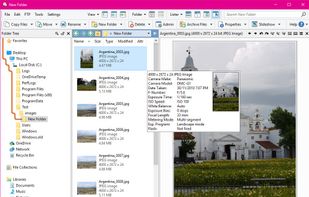 Single display (with tree) in tiles mode, with viewer pane displayed.