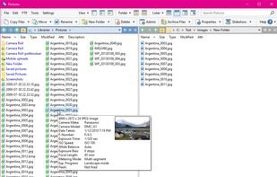 Dual display (vertical layout) without trees (this is the Commander style). Both file displays are in list mode, showing popup tooltip for an image file.