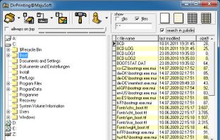 DirPrinting screenshot 1