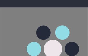 Discolor Rebounder screenshot 1