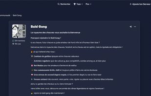 Detail page of a Discord Server