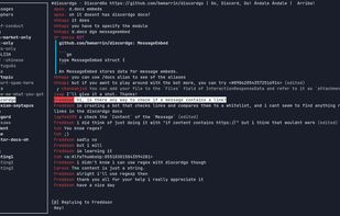 Discordo screenshot 1