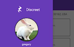 Discreet screenshot 1