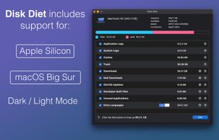 Disk Diet screenshot 1