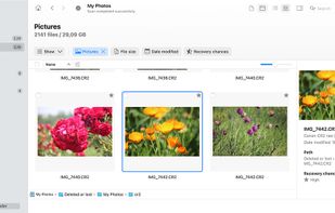 Disk Drill screenshot 1
