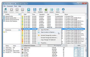 DiskPulse Main GUI Application