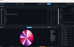 Diskraptor screenshot 2